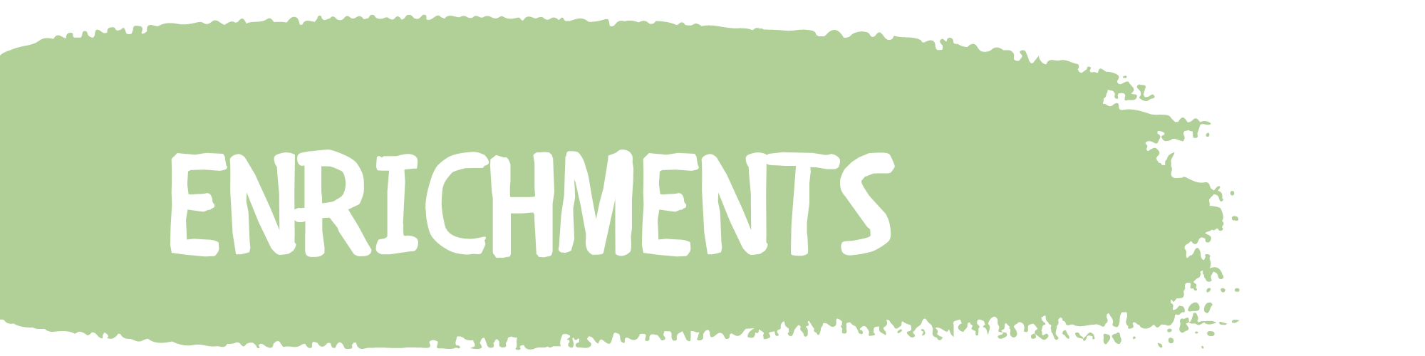 Enrichments Port Washington Children's Center